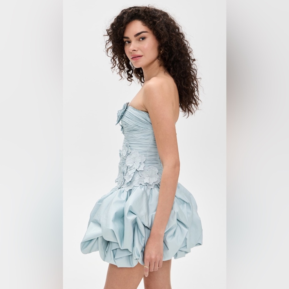 Aje Splendour Green Floral Appliqued Mini Strapless Bubble Hem Dress AU8/US4 NWT - Picture 5 of 7